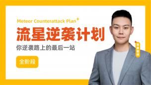 流星逆袭训练营 先导课【全套抖音399下单】
